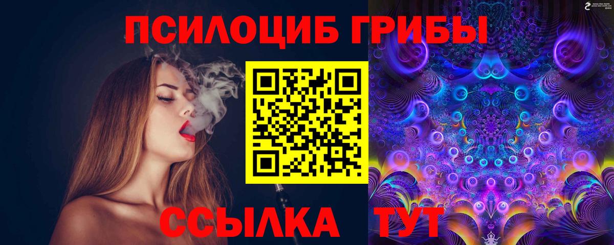 Псилоцибиновые грибы Psilocybine cubensis  Вход с VPN  Ноябрьск 